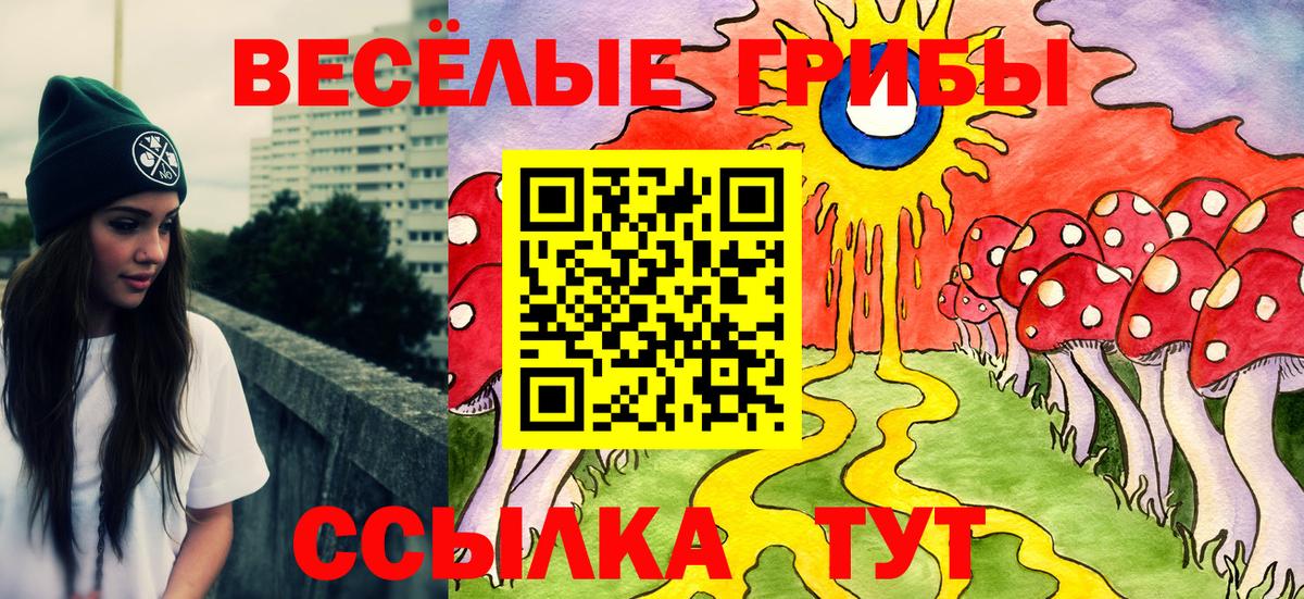 Галлюциногенные грибы MAGIC MUSHROOMS  Вход с VPN  Тельмана 